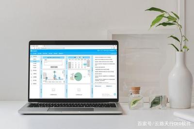 四川成都软件开发公司概览及选择指南